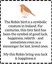 Load image into Gallery viewer, Robin brooch | polymer clay brooch | Robin bird brooch | robin jewellery | brooches | Dúil | Irish jewellery | Irish brooch | Irish gifts - Dúil
